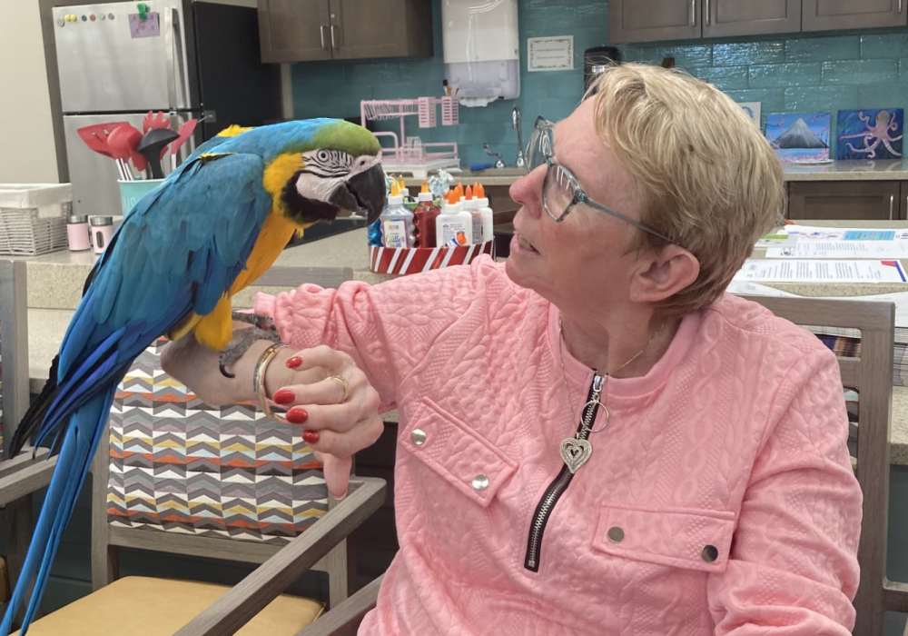 Resident talking with a parrot at Merrill Gardens at Wright Park in Tacoma, Washington