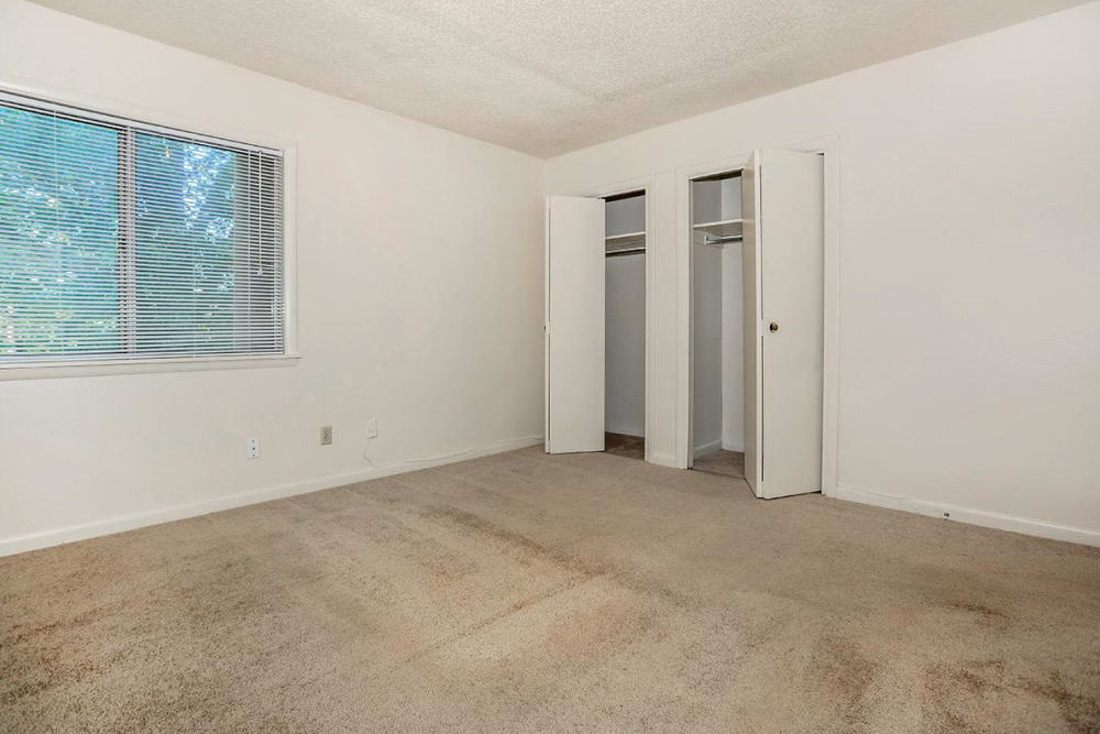 View of room and a huge closet at Patrician Terrace Apartment Homes in Jackson, Tennessee