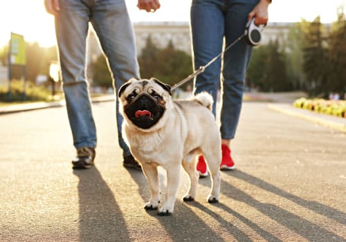 No pet weight limits at Copperline at Point Ruston in Tacoma, Washington