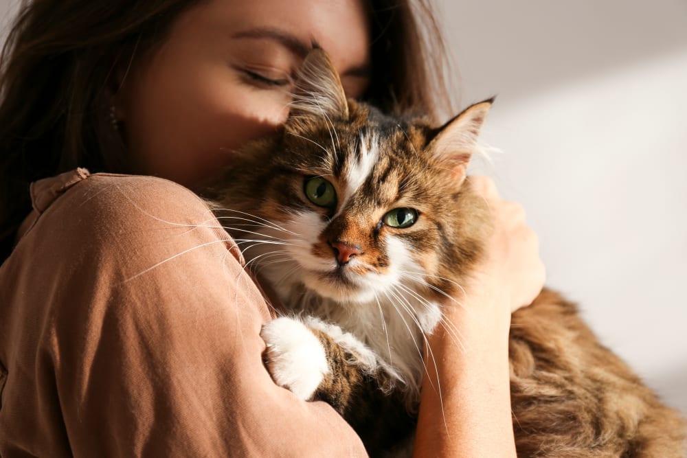 Resident with cat at Brookside Commons in East Hartford, Connecticut