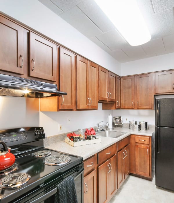 Edgewood Commons kitchens with wood cabinetry
