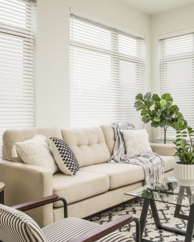 Modern living room with comfortable couch, chair, coffee table with indoor plant and large windows at Clovis Point in Longmont, Colorado