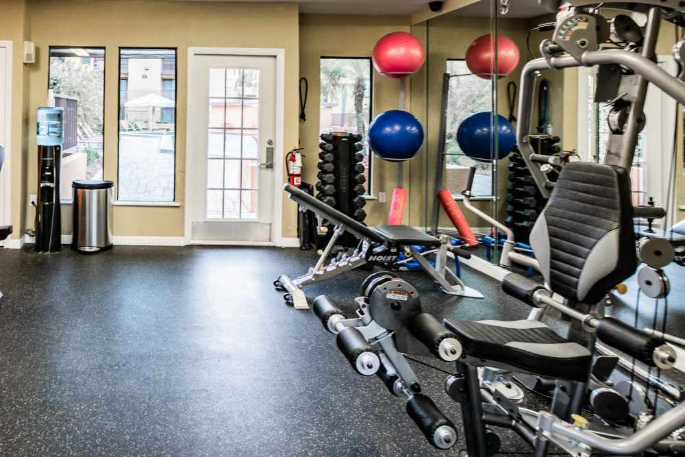 Community gym with weight equipment at Waterstone At Carrollwood in Tampa, Florida