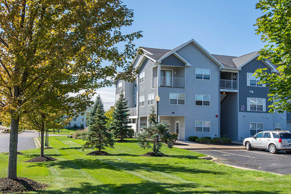 Lush, green grass at Silver Lake Hills in Fenton, Michigan