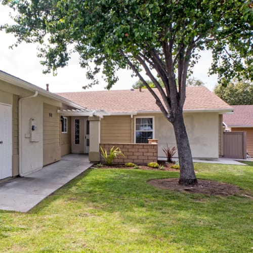 The front yard of a home at Orleck Heights in San Diego, California