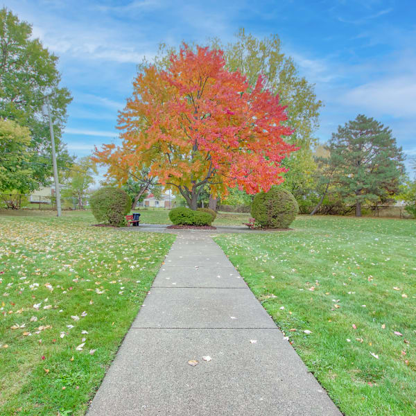 Explore the neighborhood around Park Place Towers in Mount Clemens, Michigan