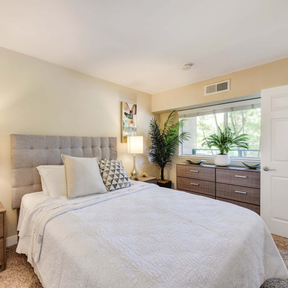 Spacious bedroom with large comfortable bed at Fayette Arms Apartments in Mountain View, California, 