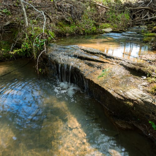 A flowing creek at Bradley Park Apartments in Cumming, Georgia