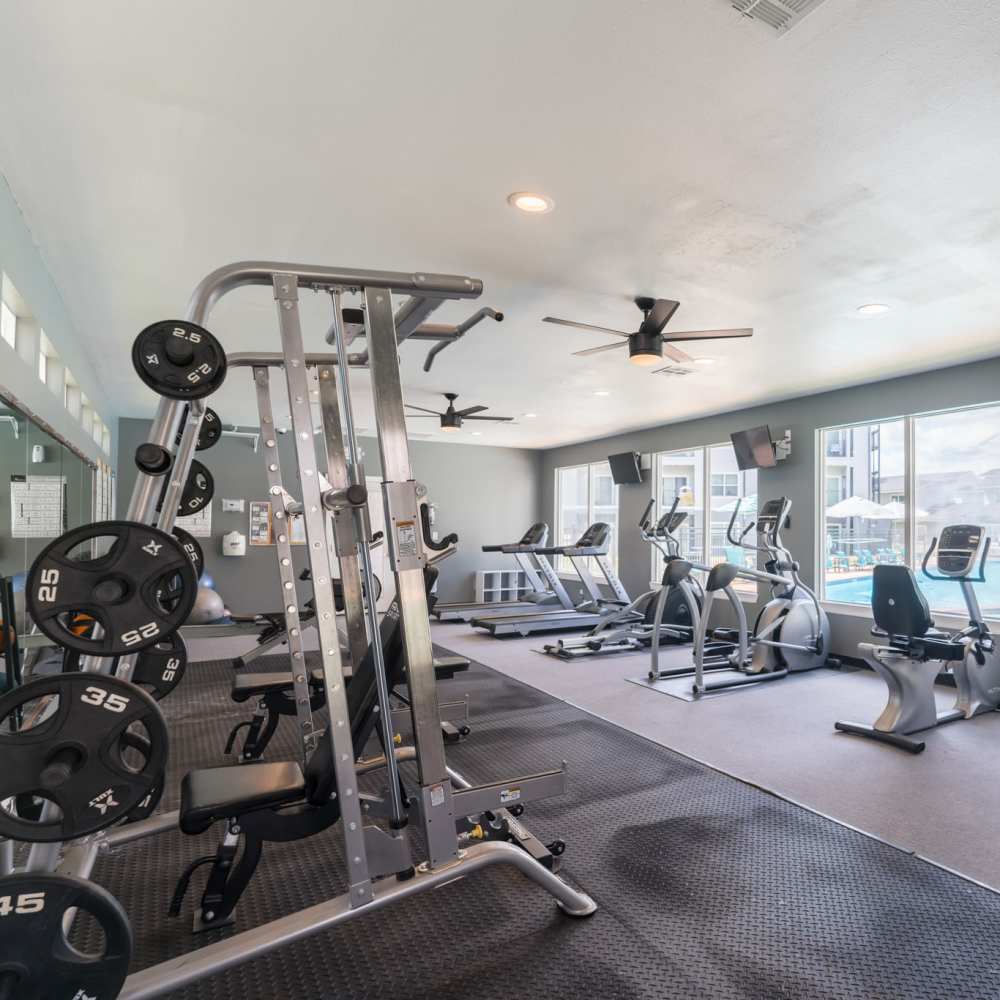Fitness center with various strength training equipment at Regency Gardens in Bryan, Texas