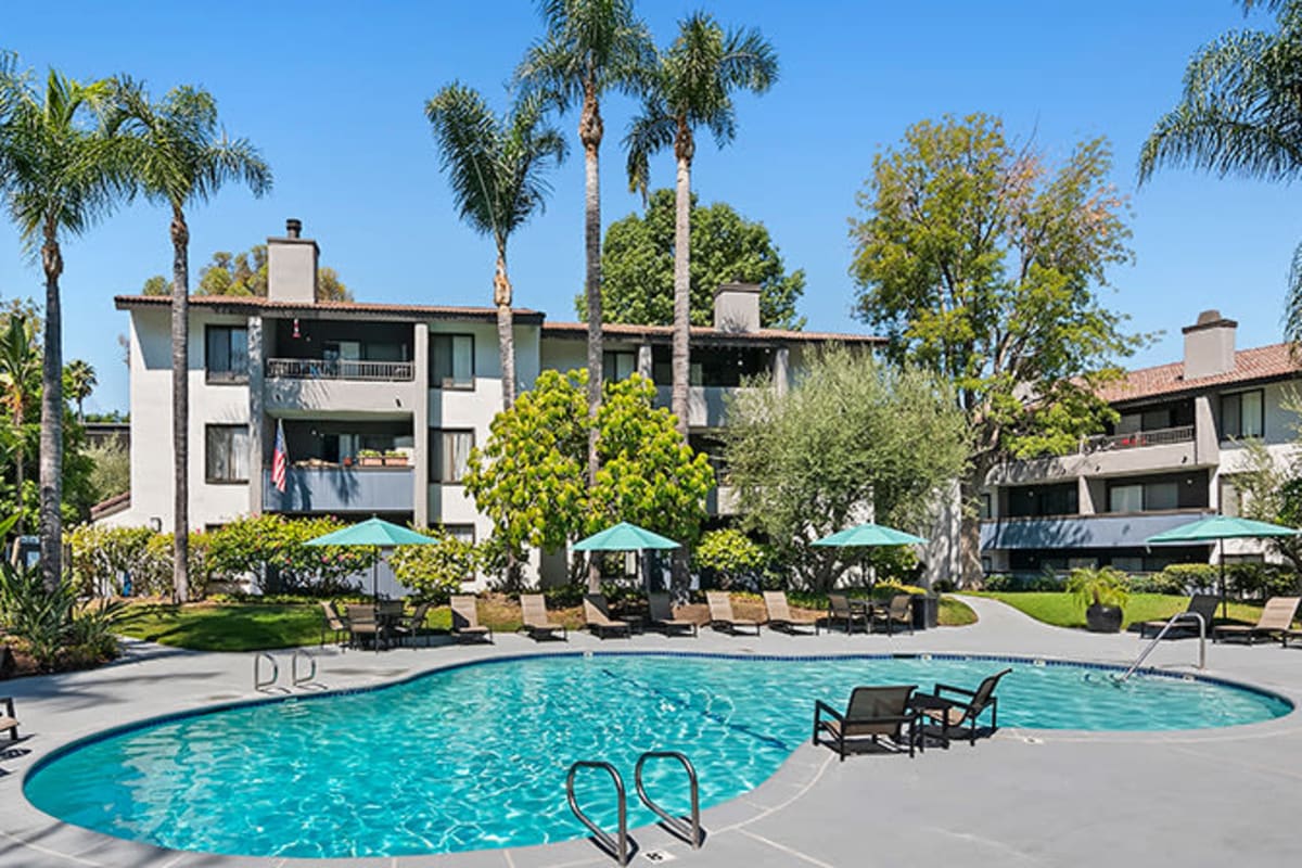 Palm trees near pool at Alura in Woodland Hills, California