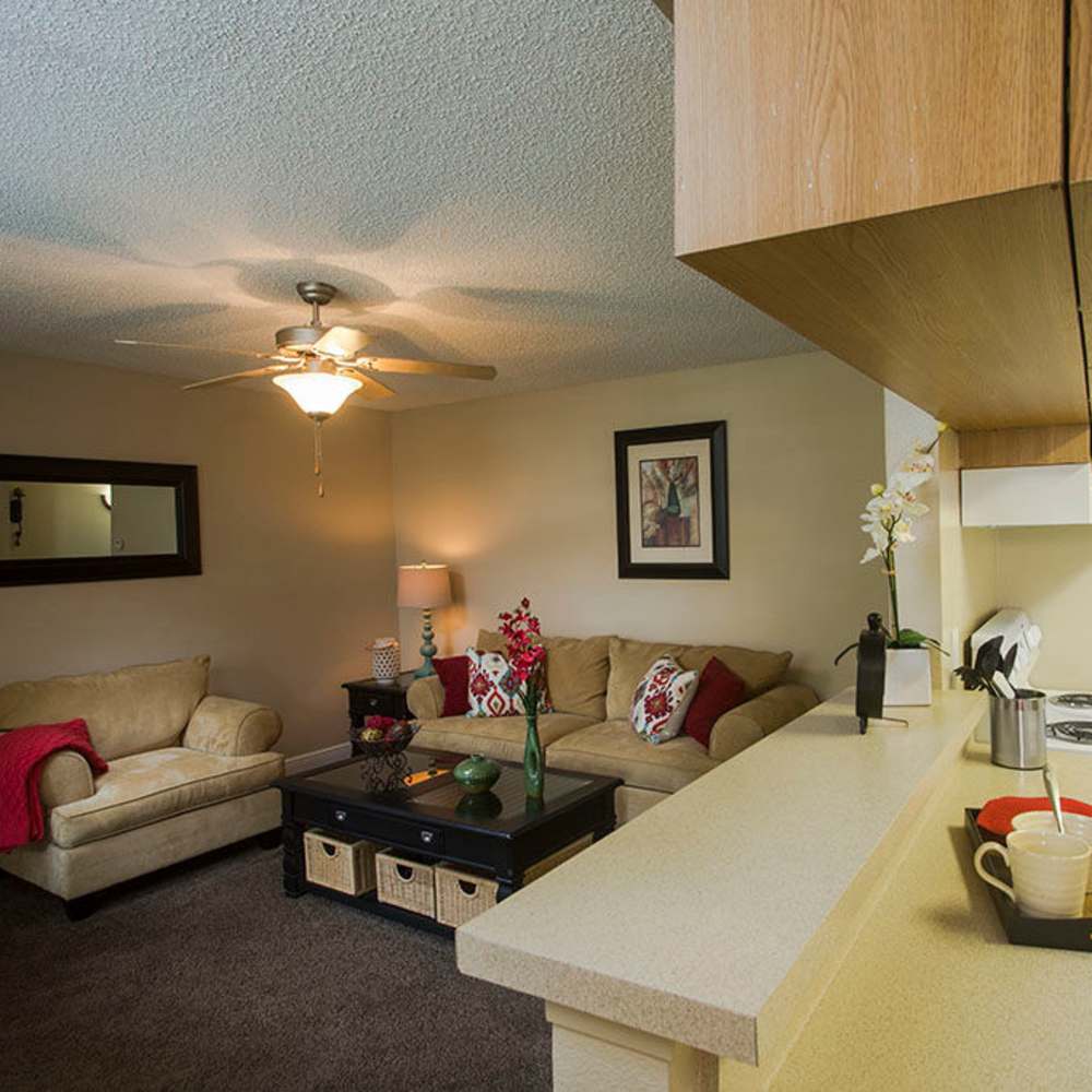 Cozy living space with a charming design and modern amenities at Park Place Apartments in Port Richey, Florida.