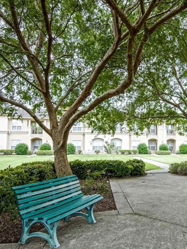 Walking path and bench on the beautifully landscaped grounds at Chateau des Lions Apartment Homes in Lafayette, Louisiana