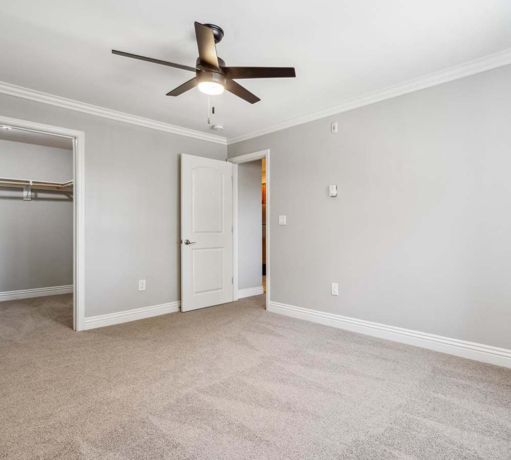 Spacious bedroom at Regency Plaza Apartment Homes in Martinez, California features a ceiling fan