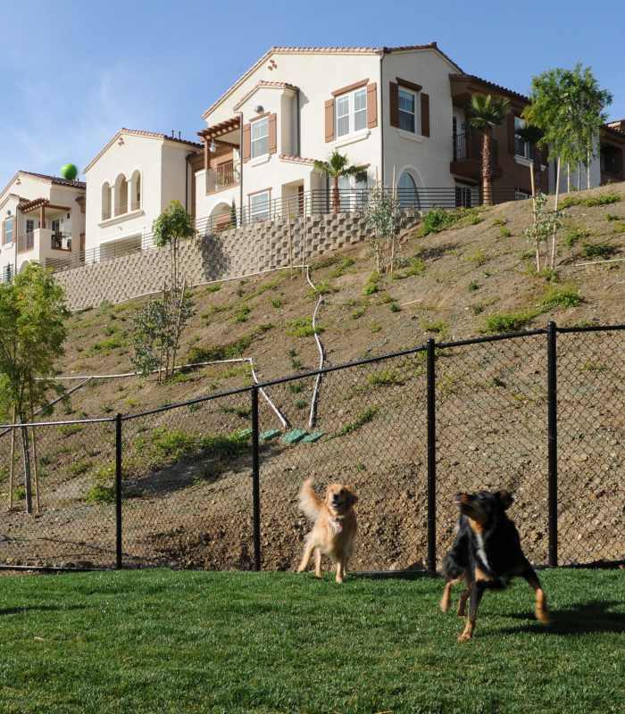Dog park at Cresta Bella in San Diego, California