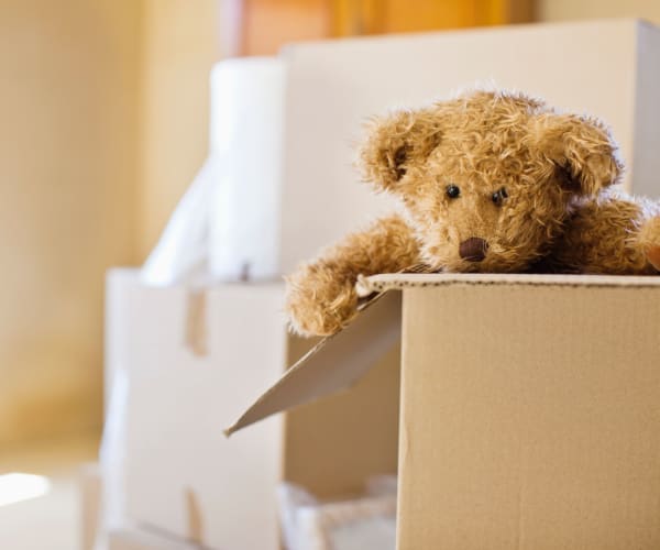 Teddy bear in a box ready for storage at 21st Century Storage