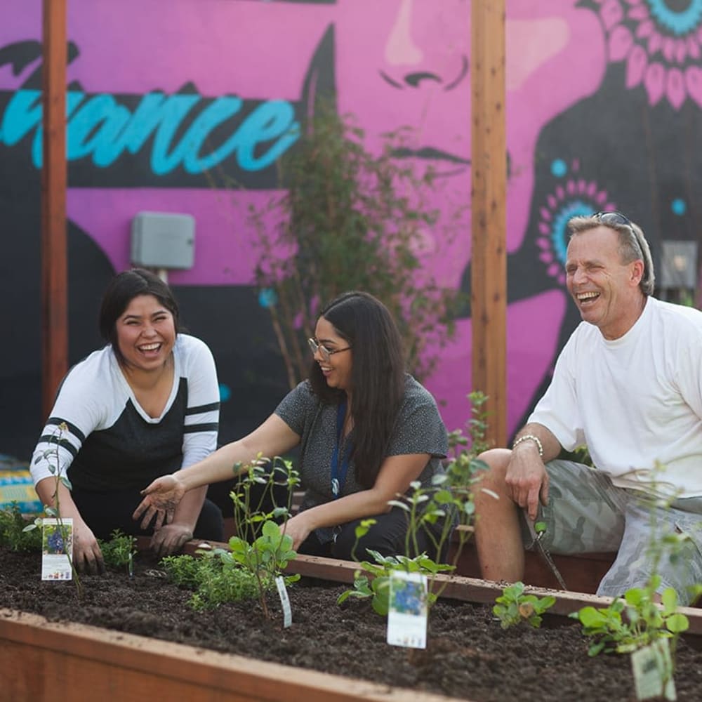 Residents show off their community garden at The Orchard, Santa Ana, California
