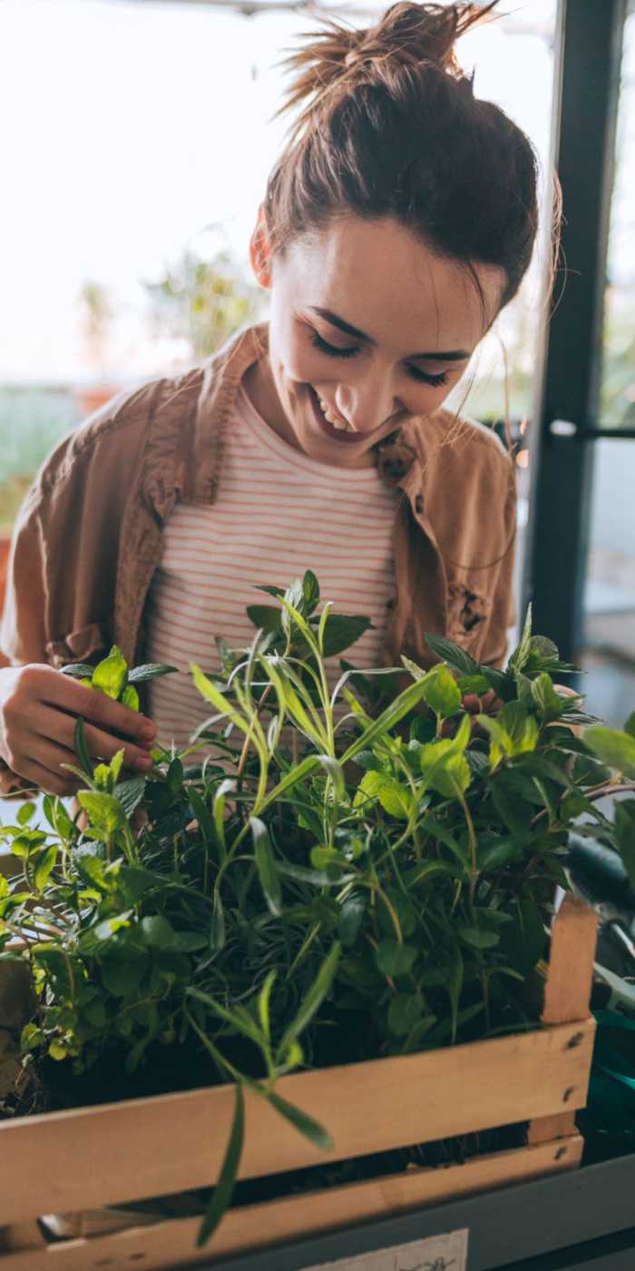 Resident gardening at Allegro in Lynnwood, Washington