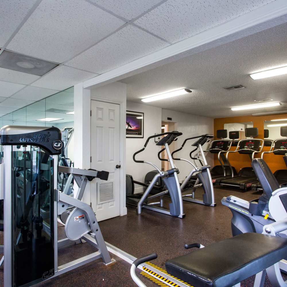Modern fitness center with sleek equipment and vibrant decor at Park Place Apartments in Port Richey, Florida.