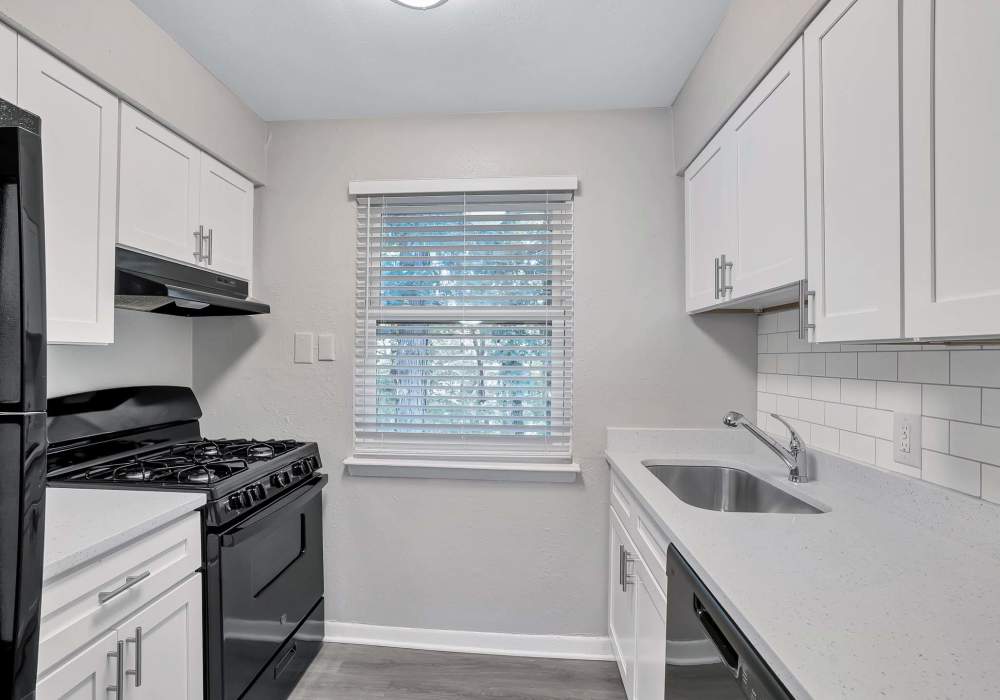 Kitchen with all the black appliances at Lake Village Apartments in Chesapeake, Virginia