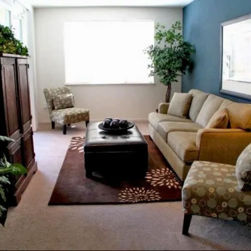 Comfortable apartment at Pine Grove Senior at Dublin Ranch in Dublin, California