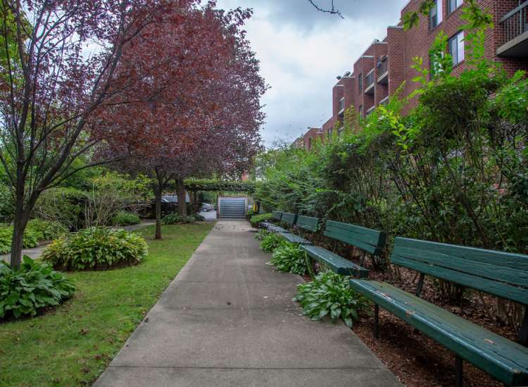 Pathway lined with benches and trees at Victory Gardens in East Boston, Massachusetts