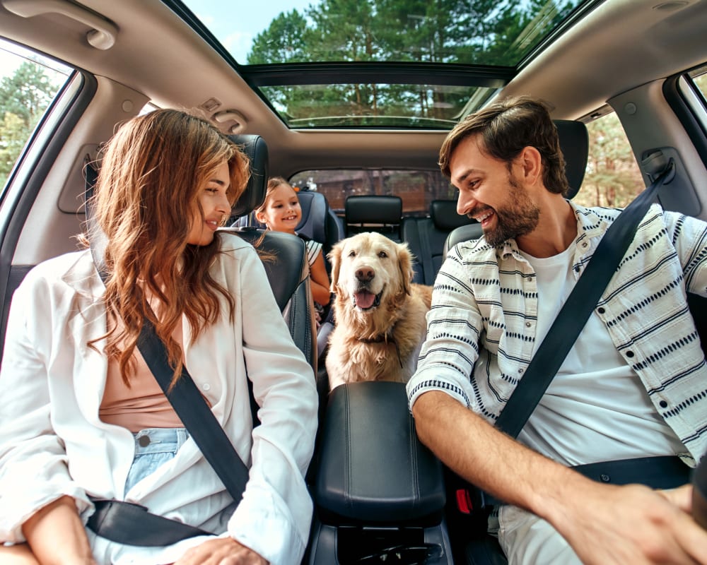 Family in the car with their dog at Cielo on Gilbert in Mesa, Arizona