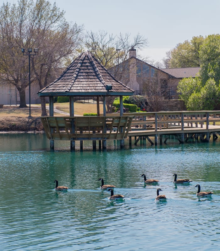 Exterior pond area to Waters Edge in Oklahoma City, Oklahoma