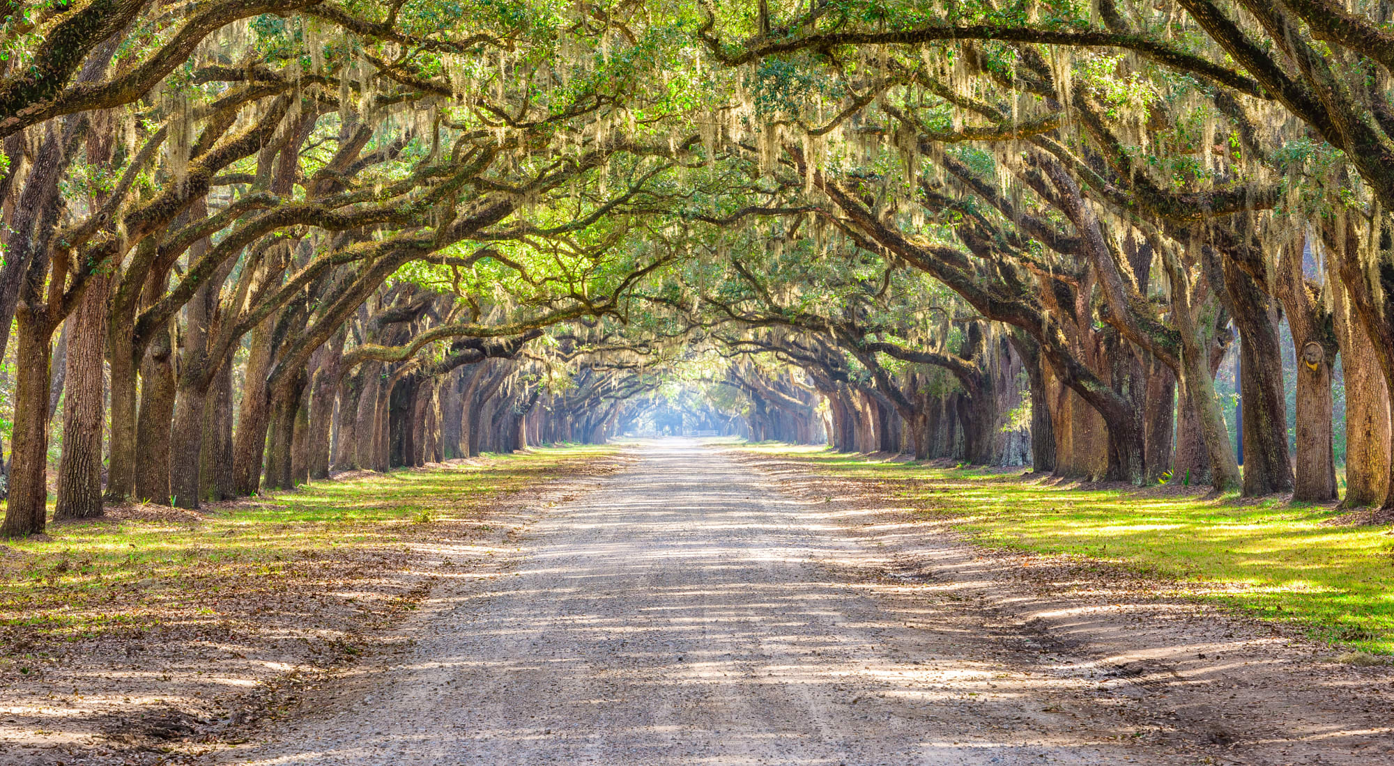 Schedule your tour of Azalea Springs in Marietta, Georgia
