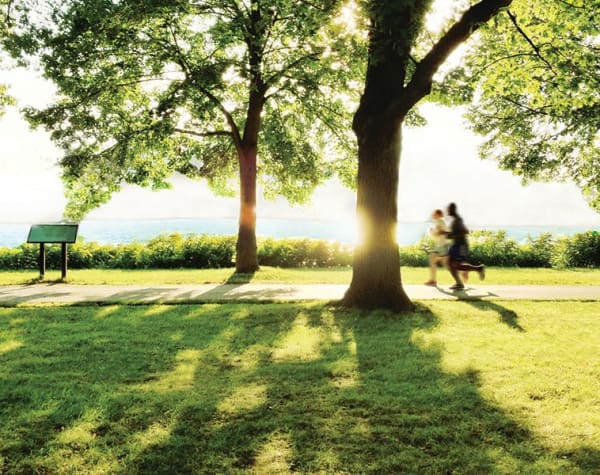 You can find recreational places and park near City Centre Ithaca in Ithaca, NY