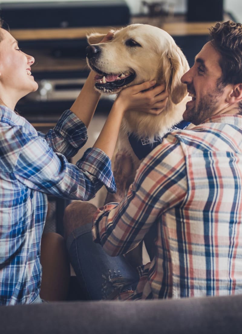 Two pets maximum per apartment at The Park at Flower Mound in Flower Mound, Texas