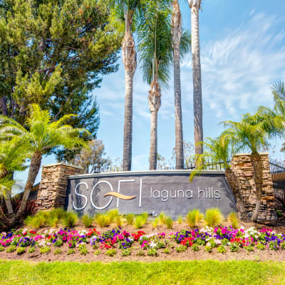 Our sign surrounded by beautiful wildflowers at Sofi Laguna Hills in Laguna Hills, California