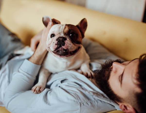 Man playing with his cute dog at North Square Apartments at The Mill District in Amherst, Massachusetts