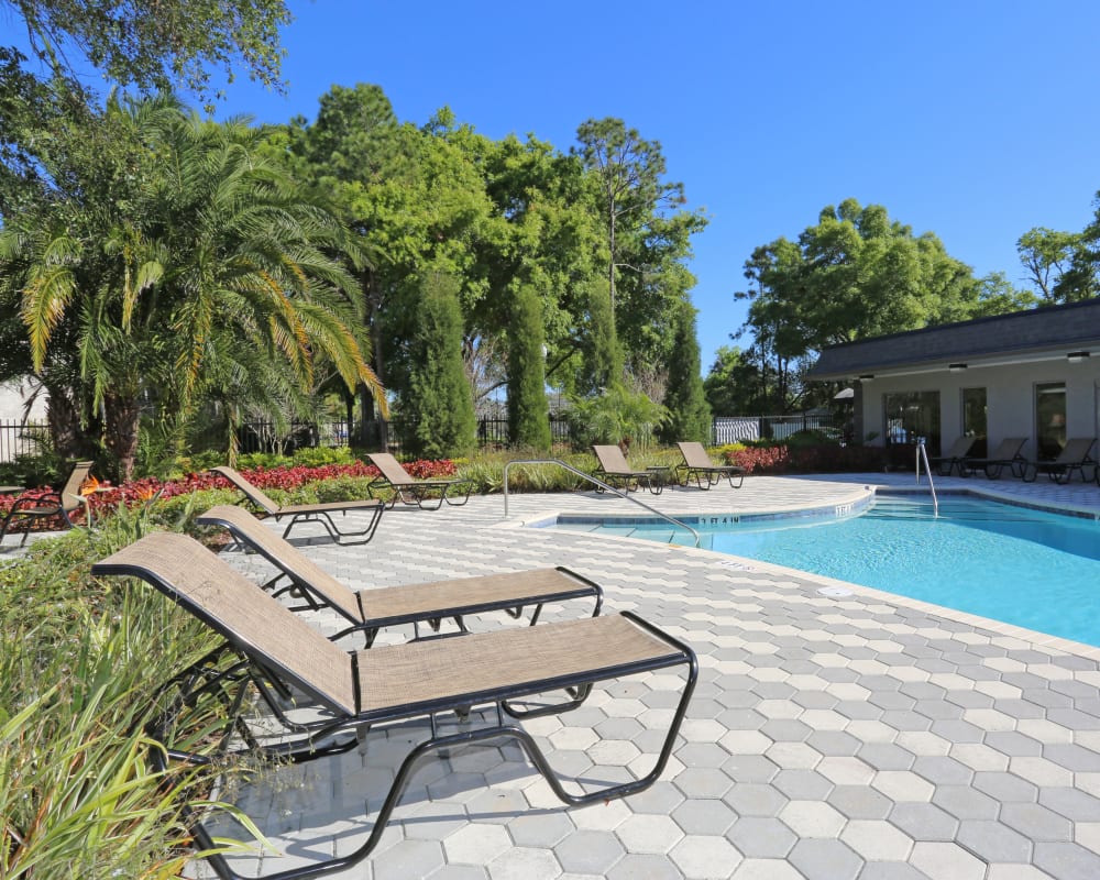 An outdoor oasis with a swimming pool near Southern Cove Apartments in Temple Terrace, Florida