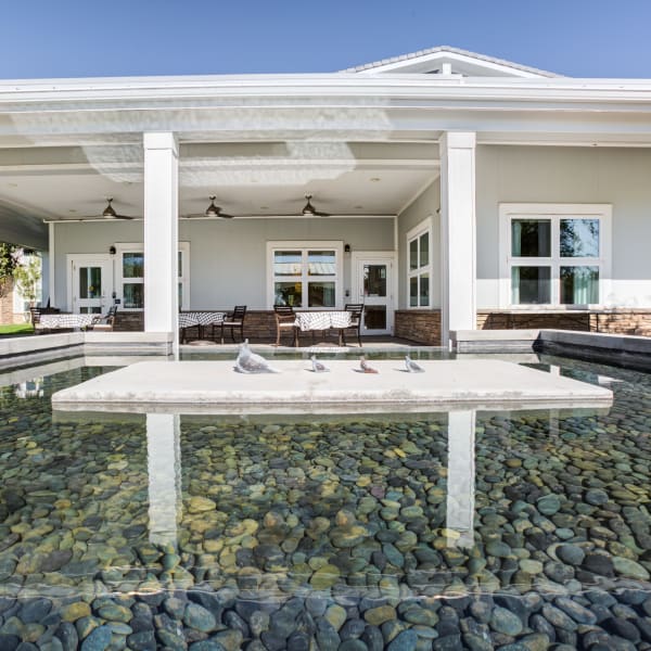 ground level homes at Quail Park at Morrison Ranch in Gilbert, Arizona