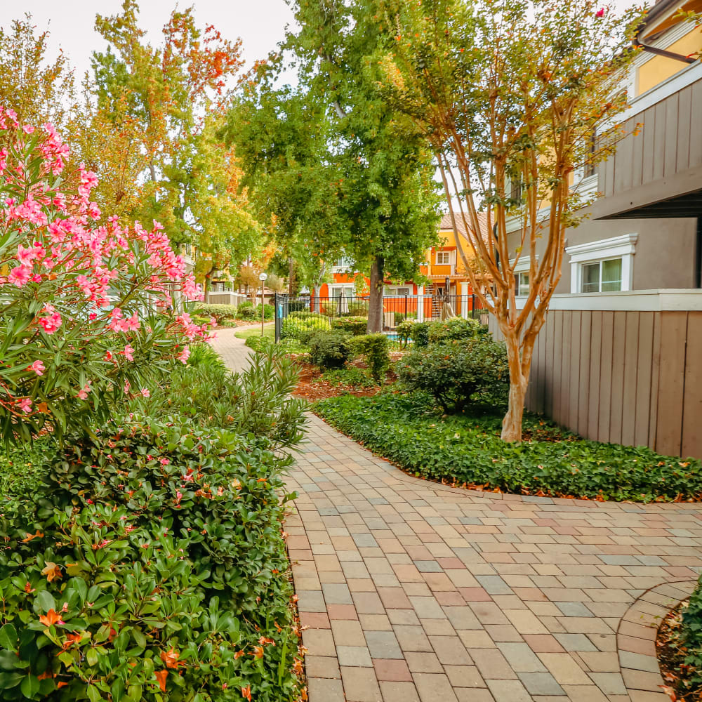 Path behind an apartment building with private balconies at Peppertree Apartments in San Jose, California