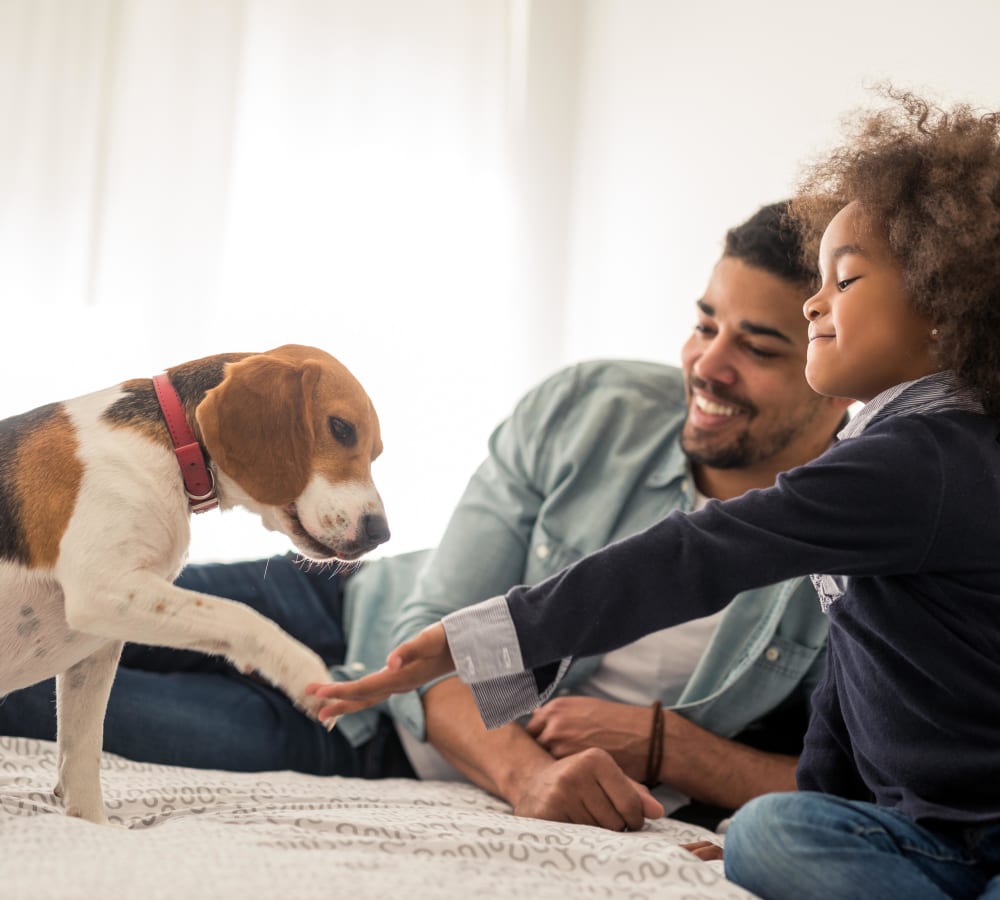 Father and daughter teaching their puppy to shake hands in their home at 860 South in Stockbridge, Georgia