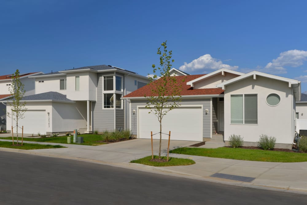 Beautifully landscaped community at Olympus at the Canyons in Herriman, Utah