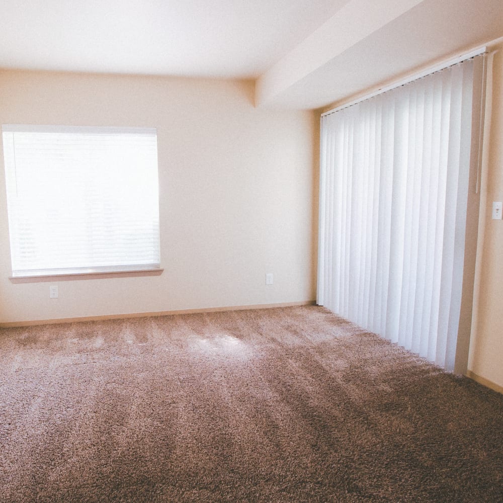 Sliding glass door and room with carpet