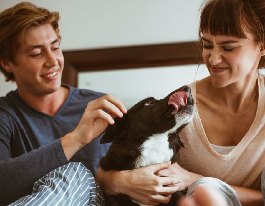 Residents cuddling with their dog at Delano in Mesa, Arizona