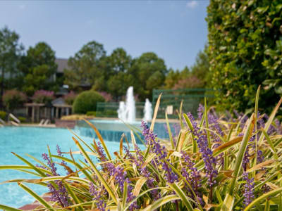 Swimming pool at apartments in Cordova, Tennessee