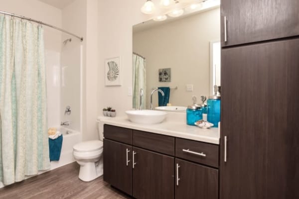 Spacious bathrooms at Aventura at Towne Centre in Ellisville, Missouri.