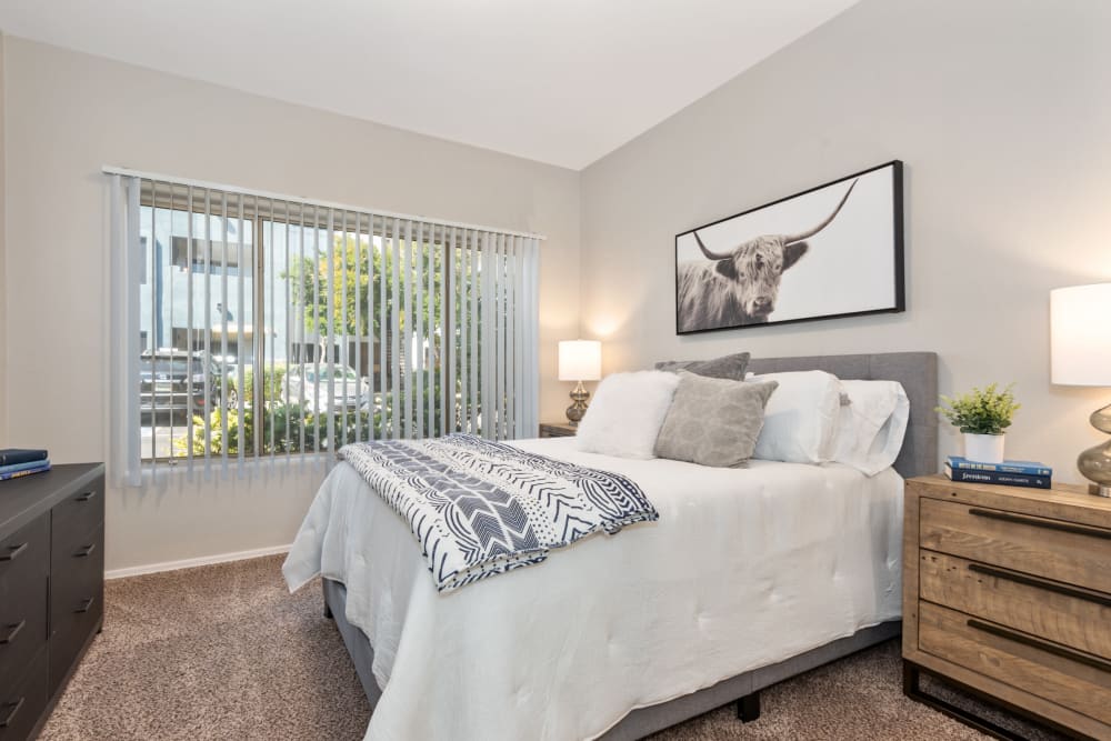Spacious and well lit bedroom in model home at Luna at Fountain Hills in Fountain Hills, Arizona