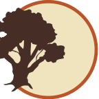 Favicon of Platinum Shavano Oaks in San Antonio, Texas 