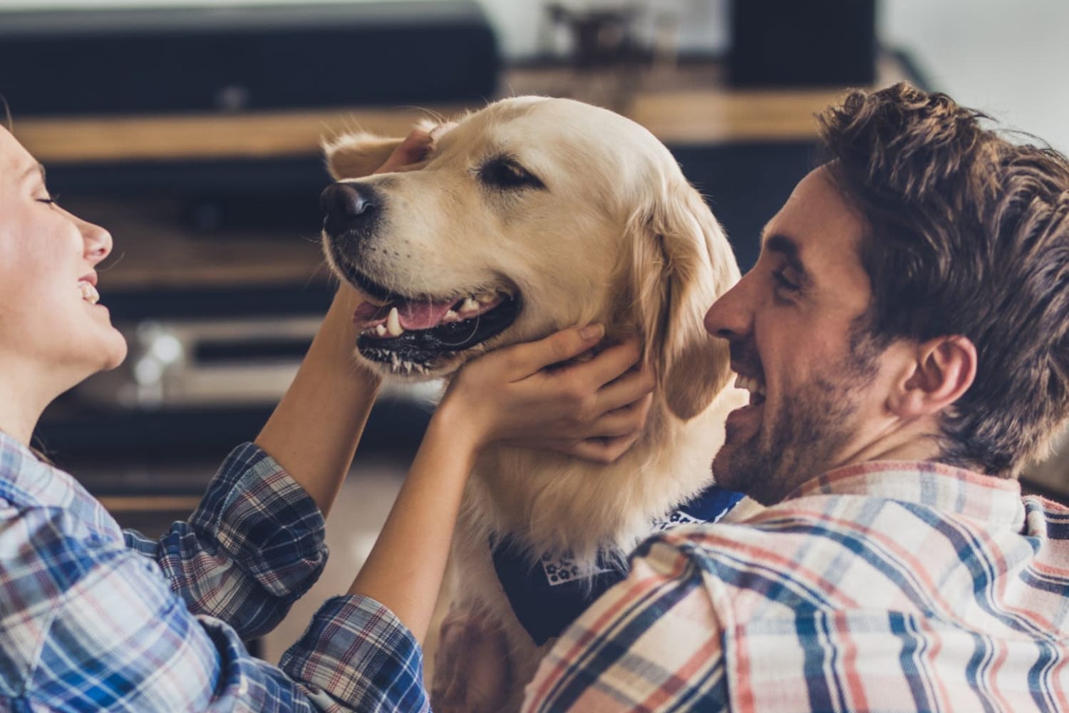 Happy dog with owner at Retreat at Waterside in Greenville, South Carolina