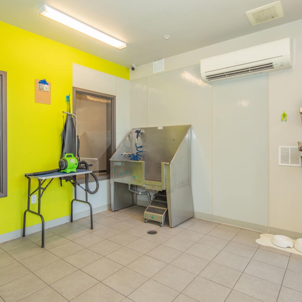 Community pet wash area at Park Place Olde Town Apartments in Arvada, Colorado