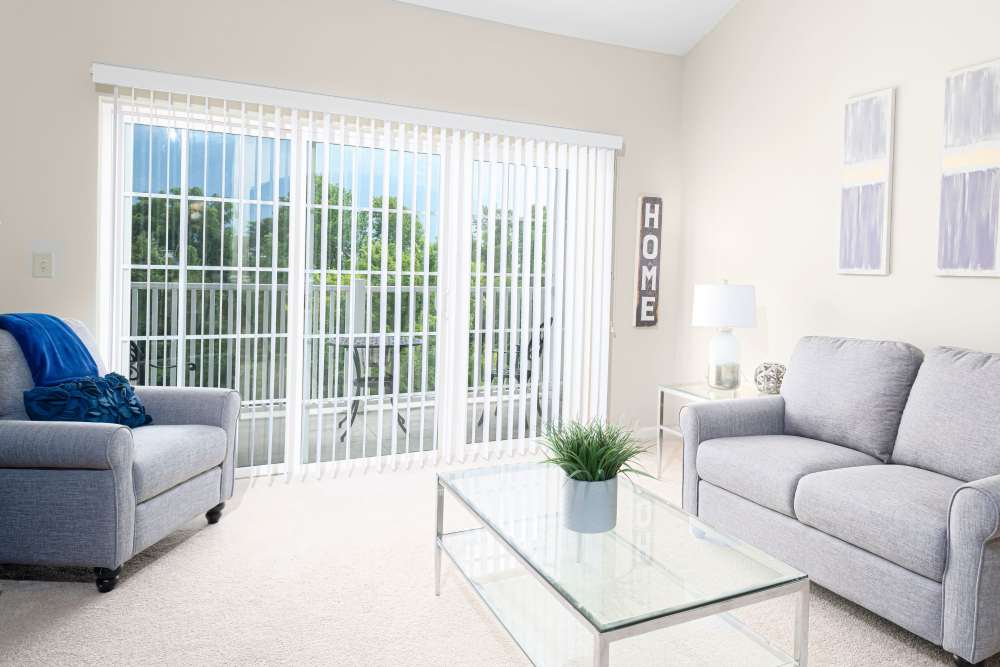 Apartment living room at Harmony at Chantilly in Herndon, Virginia