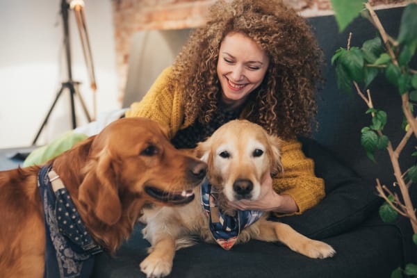 Woman playing with her dogs at Trails of Towne Lake home in Irving, Texas