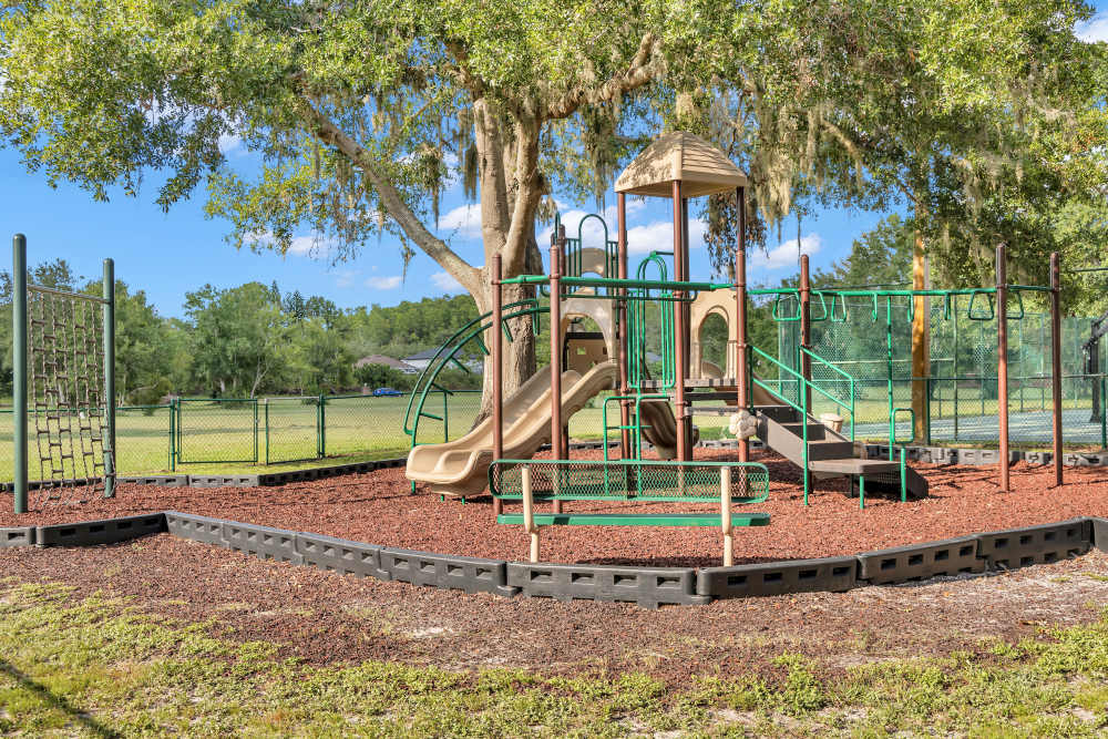 Community playground on a mulch surface at Lake Carlton Arms in Lutz, Florida
