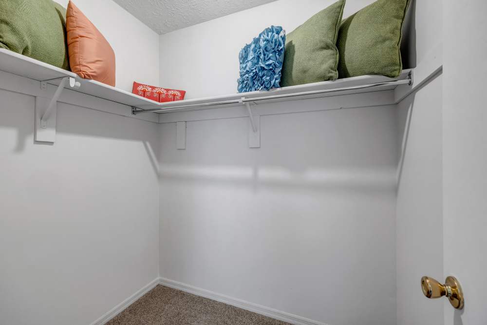 Walk-in closet with carpet flooring at Lake Carlton Arms in Lutz, Florida