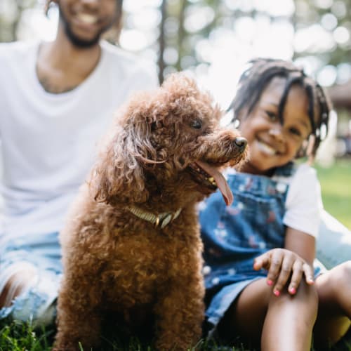 Resident family and their puppy enjoying the day outside on the green grass at 860 South in Stockbridge, Georgia